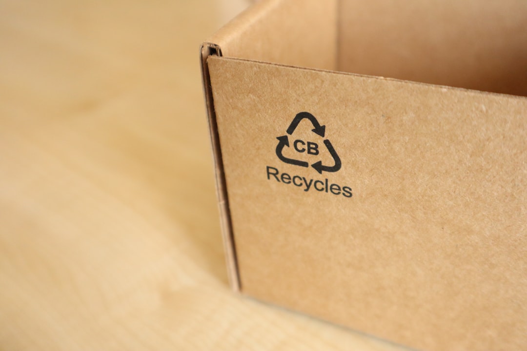 Recyclable packaging box photo by Ochir-Erdene Oyunmedeg
